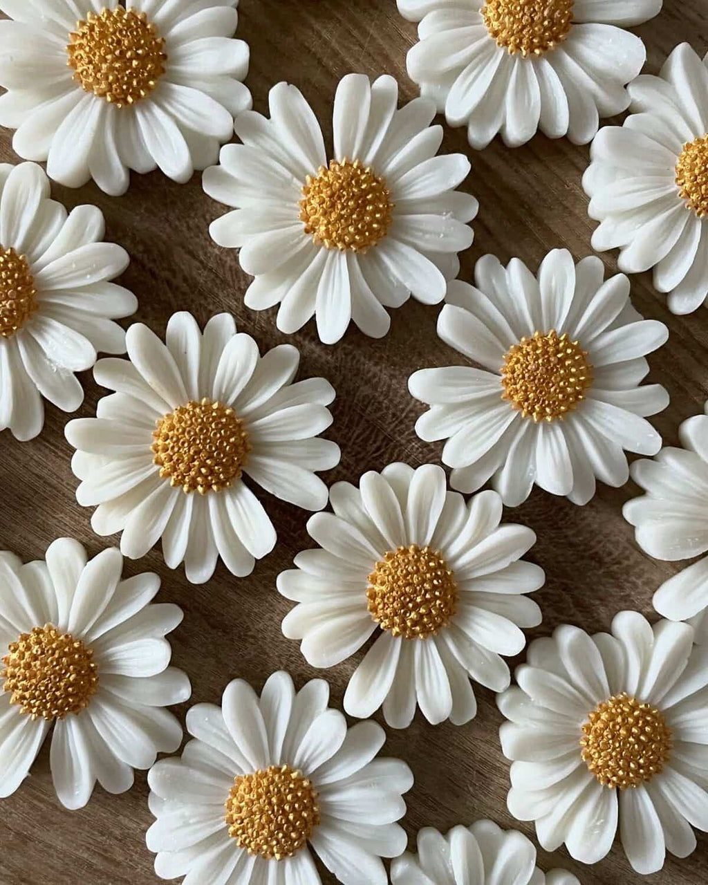 Scented Daisy Candle - Pack of 6