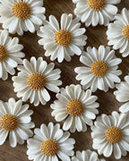 Scented Daisy Candle - Pack of 6