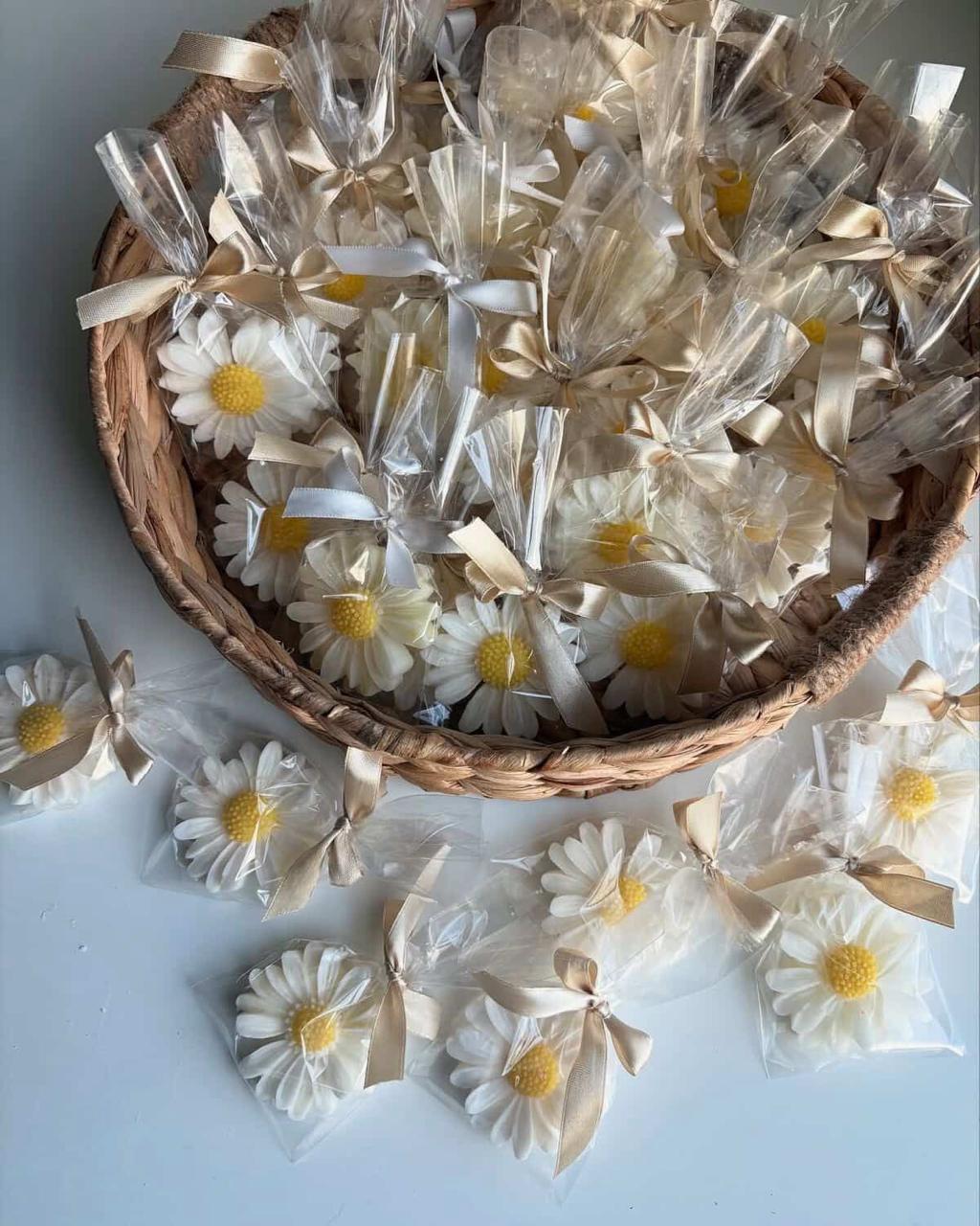 Scented Daisy Candle - Pack of 6