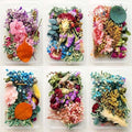 Natural Real Dried Flowers and Botanicals for Art & Craft, Soap, Candle, Scrapbook, DIY, Resin Tray Jewellery, Pendant- [Random Box, Multicolour]