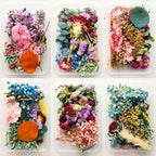 Natural Real Dried Flowers and Botanicals for Art & Craft, Soap, Candle, Scrapbook, DIY, Resin Tray Jewellery, Pendant- [Random Box, Multicolour]