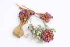 Natural Real Dried Flowers and Botanicals for Art & Craft, Soap, Candle, Scrapbook, DIY, Resin Tray Jewellery, Pendant- [Random Box, Multicolour]