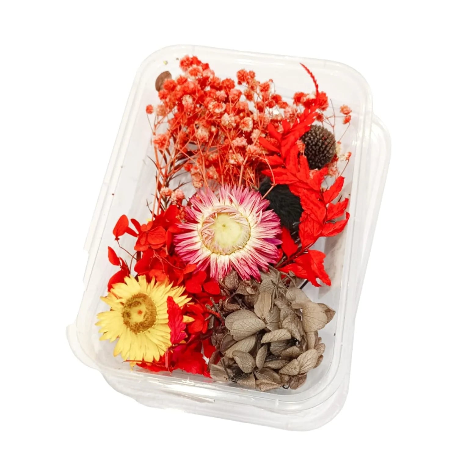 Natural Real Dried Flowers and Botanicals for Art & Craft, Soap, Candle, Scrapbook, DIY, Resin Tray Jewellery, Pendant- [Random Box, Multicolour]
